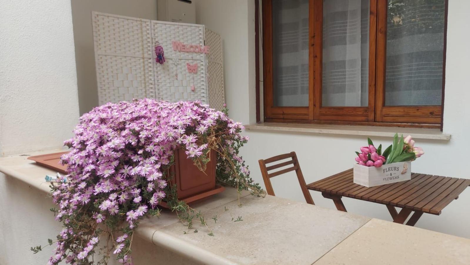 Okiros Apartment *
